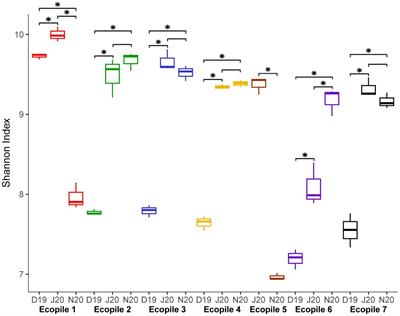 Field scale biodegradation of total petroleum hydrocarbons and soil restoration by Ecopiles: microbiological analysis of the process